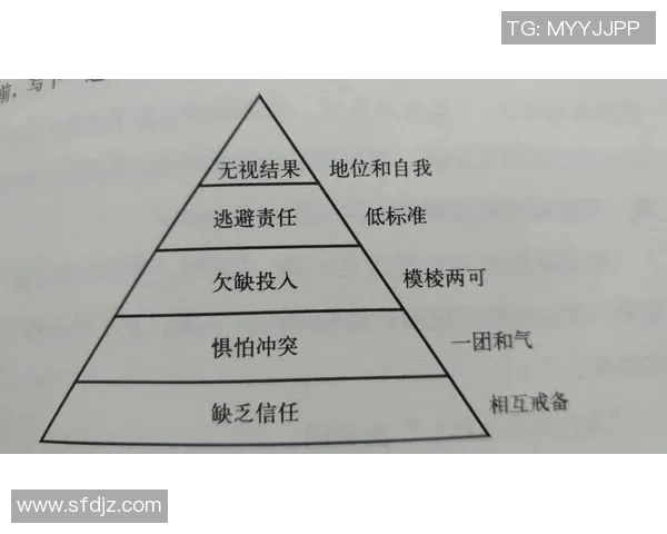 重庆羽毛球队在世锦赛中的团队协作表现分析与启示